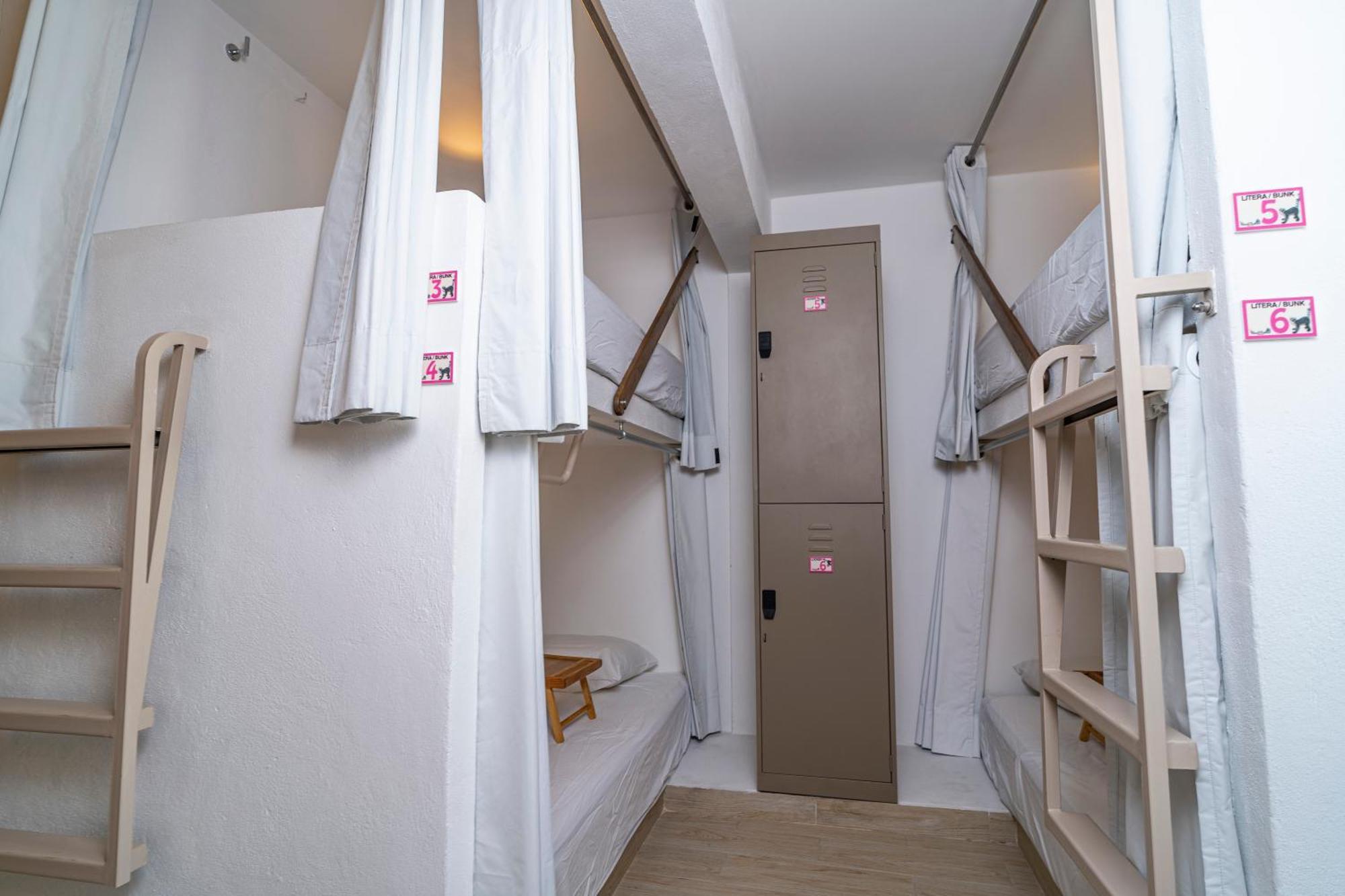 Digital Nomads & Coliving Hostel Cancun